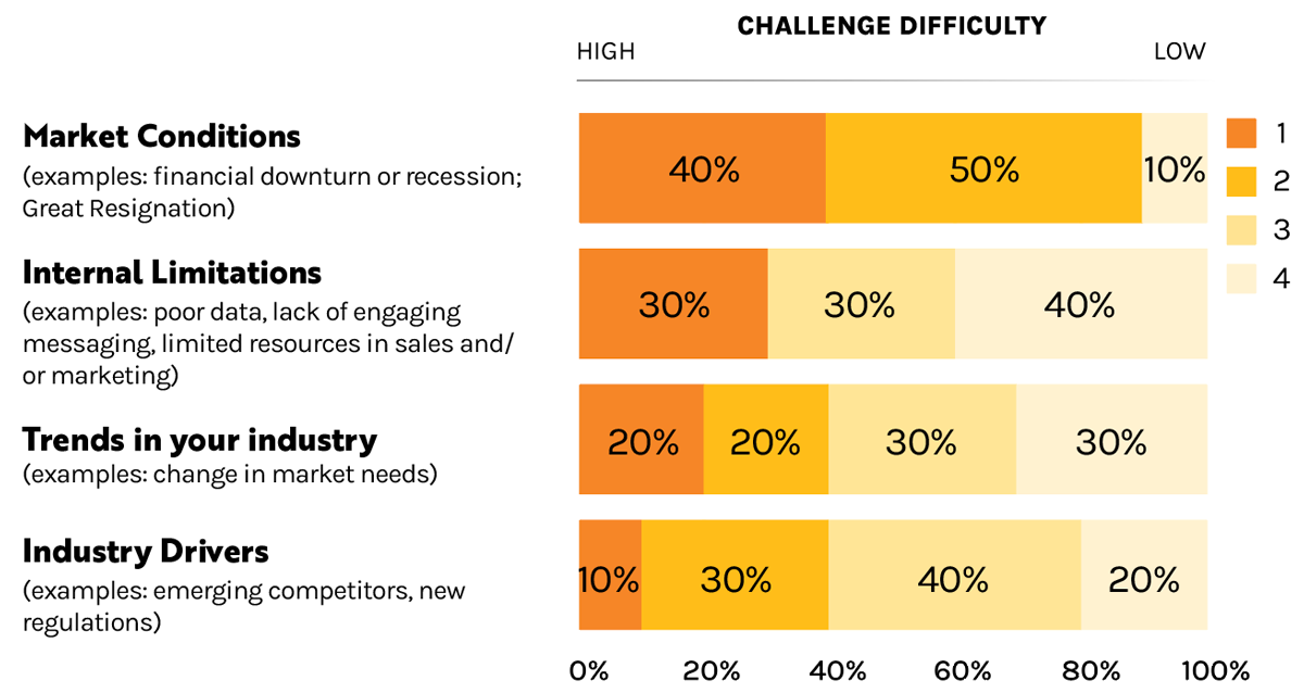 What Do You Perceive as the Biggest Challenges to Your Revenue Growth Goals This Year Chart