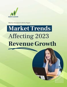 Market Trends Affecting 2023 Revenue Growth